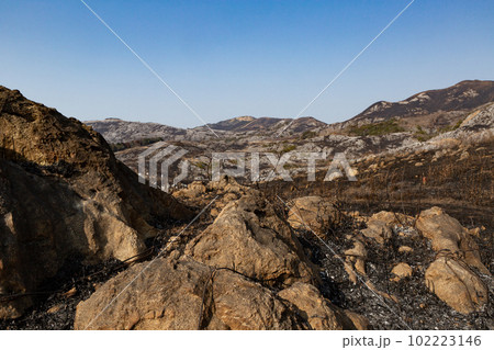 野焼き直後の平尾台　福岡県北九州市 102223146