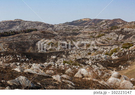 野焼き直後の平尾台　福岡県北九州市 102223147