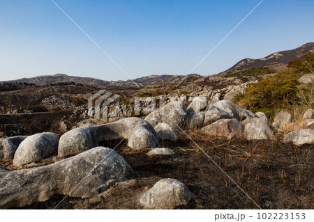 野焼き直後の平尾台　福岡県北九州市 102223153