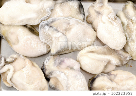 凍った牡蠣の剥き身 102223955