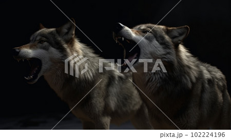 2匹の狼の遠吠え：AI作品 102224196