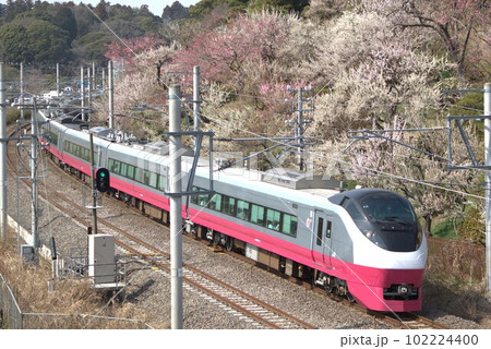 偕楽園とチェリーブロッサム 102224400