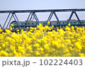 菜の花常磐線 102224403