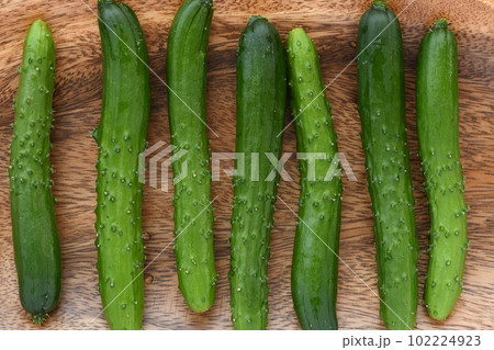 きゅうり きゅうり 102224923