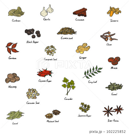 色々なスパイスのカラーイラスト　セット 102225852