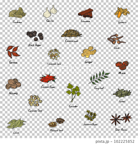 色々なスパイスのカラーイラスト　セット 102225852