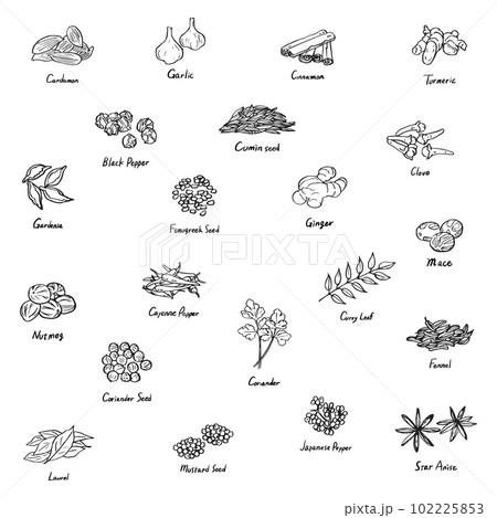色々なスパイスのイラスト セット 色々なスパイスのイラスト セット 102225853