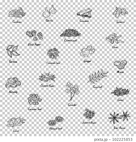 色々なスパイスのイラスト セット 色々なスパイスのイラスト セット 102225853