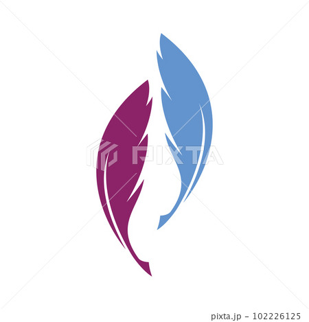 Feather ilustration 102226125
