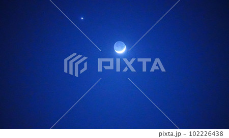 ネモフィラライトアップ最終日に、月を見上げる ネモフィラライトアップ最終日に、月を見上げる 102226438