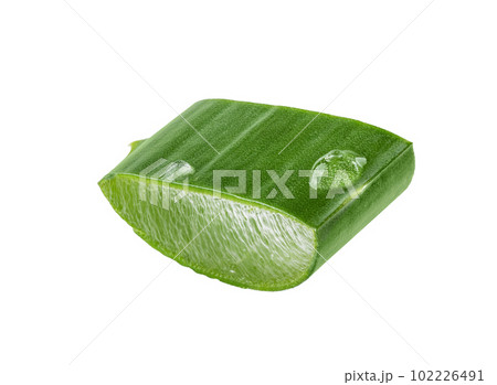 Fresh Aloe vera slice with aloe vera gel drops isolated on white background. Aloe vera leaf slice for design of herbal medicine or skin care treatment. 102226491