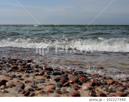 The cold waves of the Baltic Sea run up to the shore covered with large pebbles. 102227480
