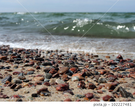 The cold waves of the Baltic Sea run up to the shore covered with large pebbles. 102227481