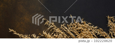 Ears of oats 102228620