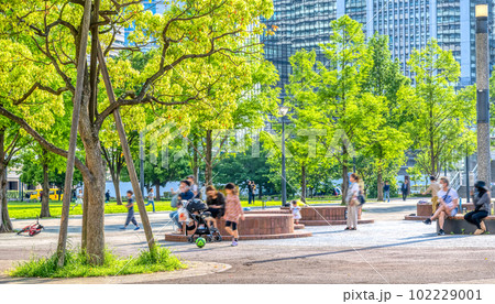 横浜みなとみらいの都市風景 高島中央公園 横浜みなとみらいの都市風景 高島中央公園 102229001