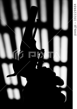 Pistol gun dark at night 102229484