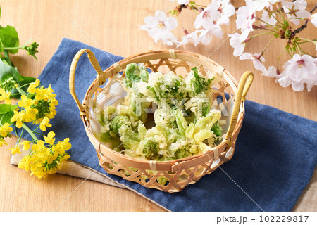 春野菜の天ぷら　菜花　蕗の薹　たらの芽 102229817