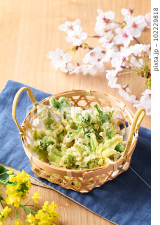 春野菜の天ぷら　菜花　蕗の薹　たらの芽 102229818