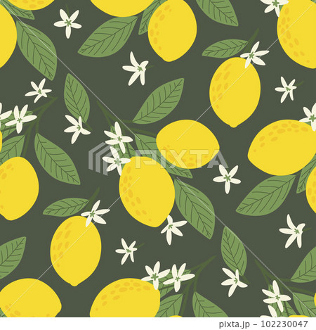 Seamless pattern ws yallow lemon blossoming branch 102230047