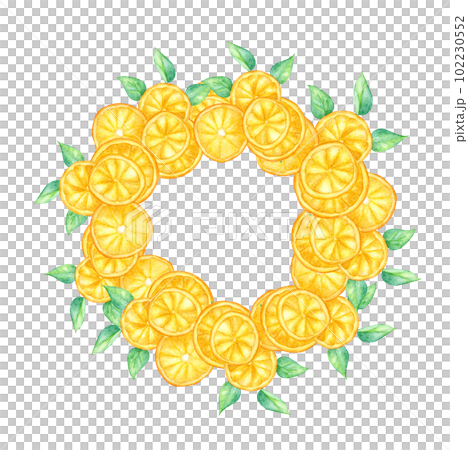 Orange fruit and green leaves wreath. Watercolor illustration painting round frame. Orange fruit and green leaves wreath. Watercolor illustration painting round frame. 102230552
