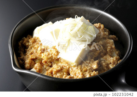 お豆腐たっぷりピリ辛熱々麻婆豆腐を黒背景で撮影 102231042