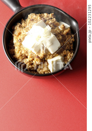 お豆腐たっぷりピリ辛熱々麻婆豆腐を俯瞰で撮影 お豆腐たっぷりピリ辛熱々麻婆豆腐を俯瞰で撮影 102231295