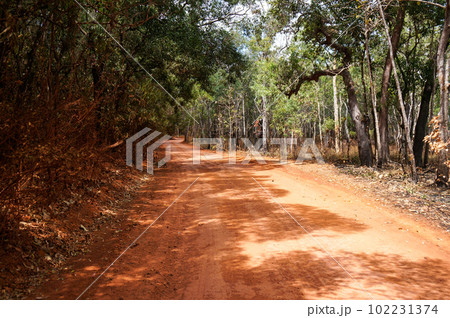 オーストラリア最北端、ケープヨークへの道のり 102231374