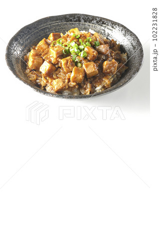 小ねぎとお豆腐たっぷりピリ辛麻婆豆腐丼を白背景で撮影 小ねぎとお豆腐たっぷりピリ辛麻婆豆腐丼を白背景で撮影 102231828