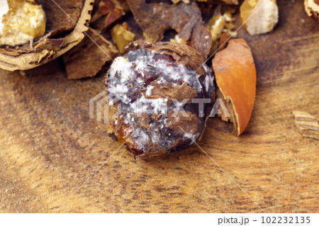 Raw hazelnuts during the preparation of nuts for food. Spoiled foods with mold, close-up macro 102232135