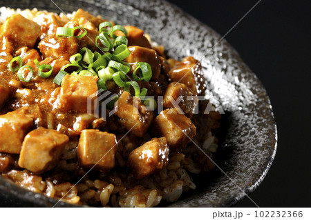 小ねぎとお豆腐たっぷりピリ辛麻婆豆腐丼を黒背景で撮影 小ねぎとお豆腐たっぷりピリ辛麻婆豆腐丼を黒背景で撮影 102232366
