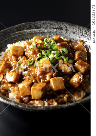 小ねぎとお豆腐たっぷりピリ辛麻婆豆腐丼を黒背景で撮影 小ねぎとお豆腐たっぷりピリ辛麻婆豆腐丼を黒背景で撮影 102232373
