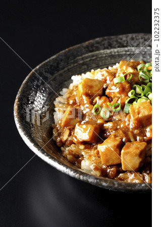 小ねぎとお豆腐たっぷりピリ辛麻婆豆腐丼を黒背景で撮影 小ねぎとお豆腐たっぷりピリ辛麻婆豆腐丼を黒背景で撮影 102232375