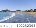 岩井海岸 102232393