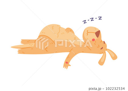 Funny Kangaroo Marsupial Animal Sleeping and Snoring Lying on the Ground Vector Illustration Funny Kangaroo Marsupial Animal Sleeping and Snoring Lying on the Ground Vector Illustration 102232534