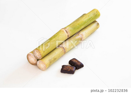 さとうきびと黒糖 さとうきびと黒糖 102232836