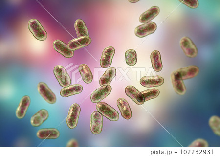 Prevotella bacteria, 3D illustration. Gram-negative anaerobic bacteria, cause anaerobic infections of respiratory tract and other location Prevotella bacteria, 3D illustration. Gram-negative anaerobic bacteria, cause anaerobic infections of respiratory tract and other location 102232931