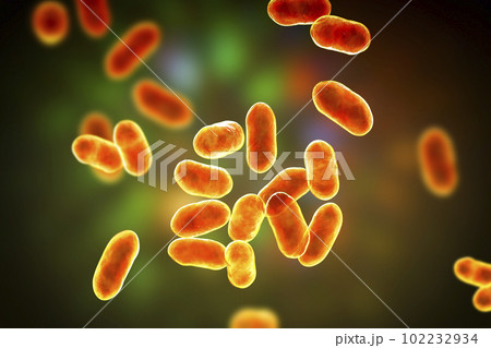 Prevotella bacteria, 3D illustration. Gram-negative anaerobic bacteria, cause anaerobic infections of respiratory tract and other location Prevotella bacteria, 3D illustration. Gram-negative anaerobic bacteria, cause anaerobic infections of respiratory tract and other location 102232934