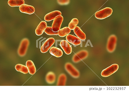 Prevotella bacteria, 3D illustration. Gram-negative anaerobic bacteria, cause anaerobic infections of respiratory tract and other location Prevotella bacteria, 3D illustration. Gram-negative anaerobic bacteria, cause anaerobic infections of respiratory tract and other location 102232937