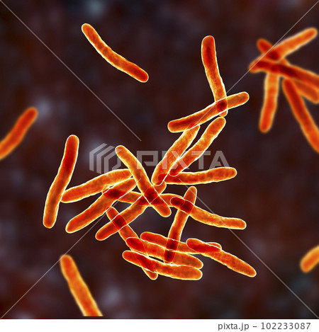 Mycobacterium ulcerans, the causative agent of Buruli ulcer, 3D illustration Mycobacterium ulcerans, the causative agent of Buruli ulcer, 3D illustration 102233087