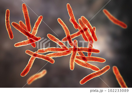 Mycobacterium ulcerans, the causative agent of Buruli ulcer, 3D illustration Mycobacterium ulcerans, the causative agent of Buruli ulcer, 3D illustration 102233089