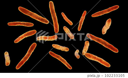 Bacteria Mycobacterium bovis, illustration 102233105