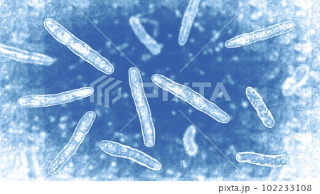 Bacteria Mycobacterium tuberculosis, 3D illustration 102233108