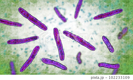 Bacteria Mycobacterium tuberculosis, 3D illustration 102233109