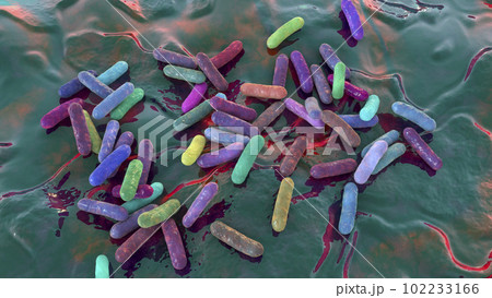 Morganella morganii bacteria, 3D illustration 102233166