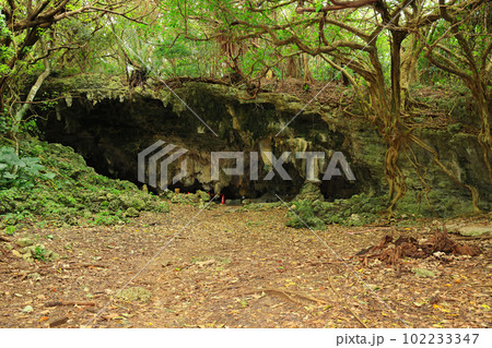 沖縄の藪地洞穴遺跡 沖縄の藪地洞穴遺跡 102233347
