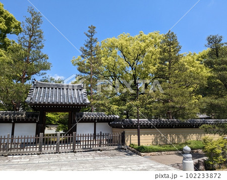 新緑の寺 102233872