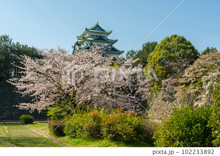 名城公園から見た名古屋城・4月の写真素材 [102233892] - PIXTA