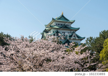 名城公園から見た名古屋城・4月 102233893