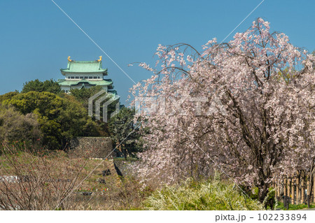 名城公園から見た名古屋城・4月 102233894