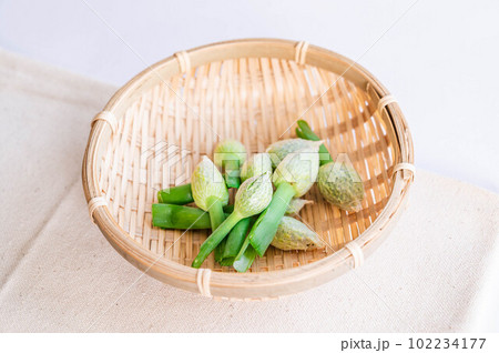 笊の中のねぎぼうず 102234177
